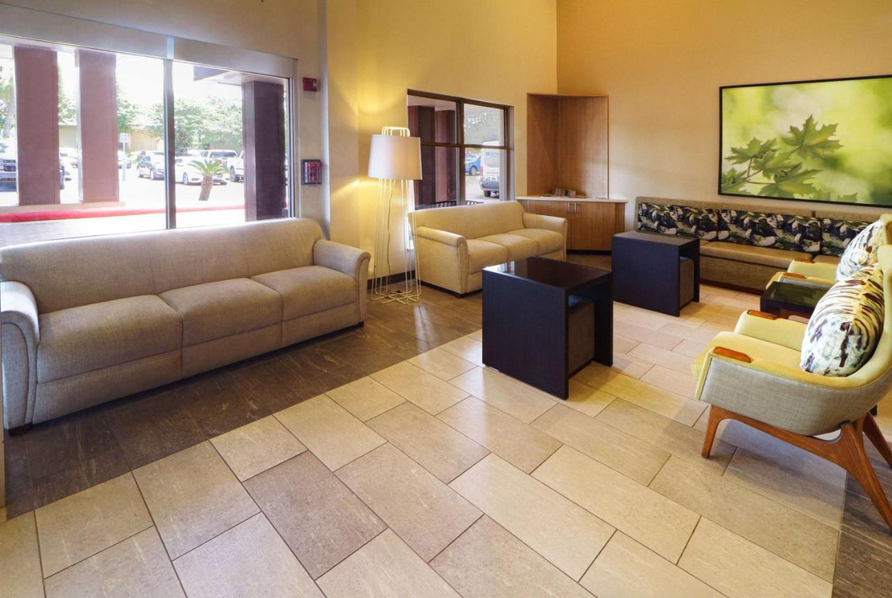 Wyndham Garden Mcallen At La Plaza Mall Exteriör bild